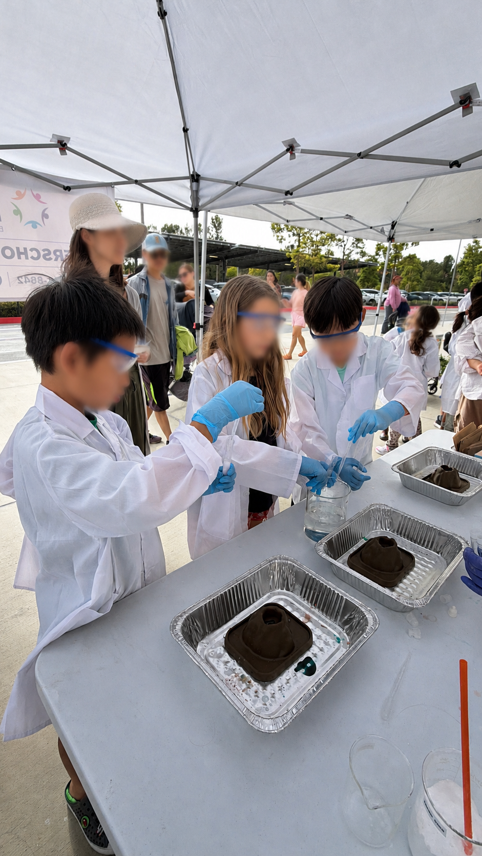 Stem Night
